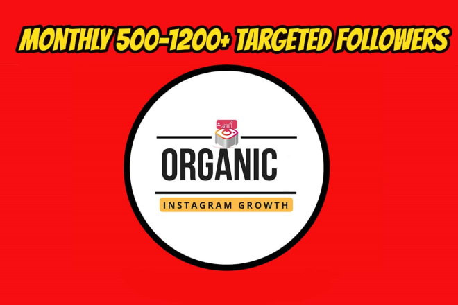 I will do fast organic instagram growth