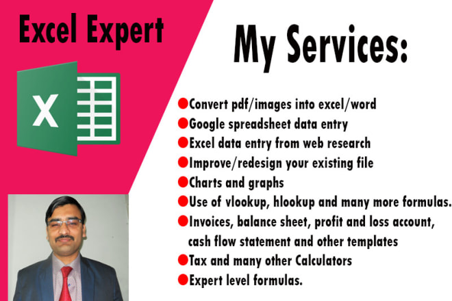 I will do microsoft excel data entry, formulas, charts graphs, pdf to excel