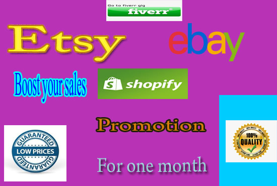 I will do niche target traffic to ebay, shopify, etsy promotion