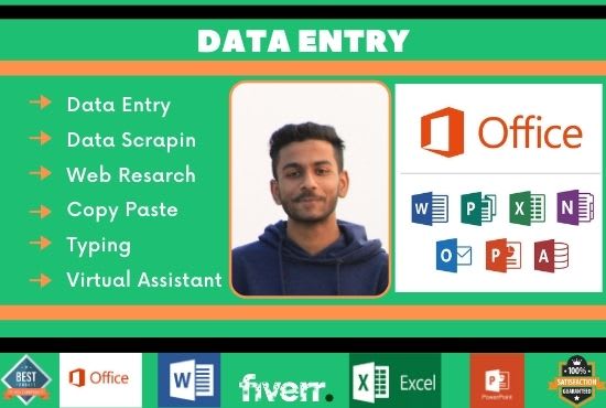 I will do online and offline excel data entry, copy paste, typing