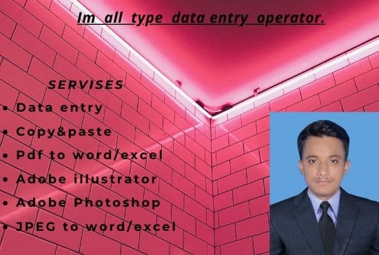 I will do online data entry copy paste work for you