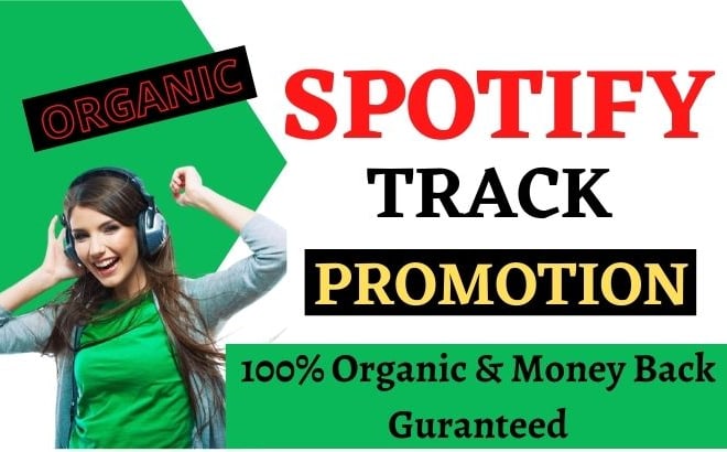 I will do organic spotify promotion for your spotify music track manually