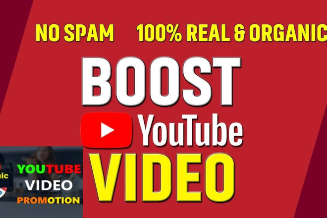 I will do organic video promotion on youtube with real traffic