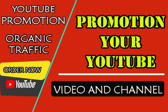 I will do organic youtube promotion and video marketing