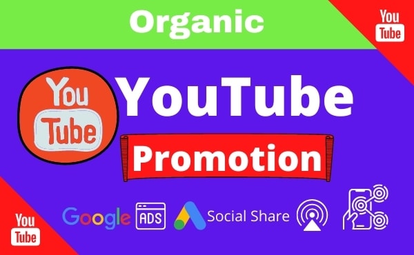 I will do organic youtube promotion with google ads