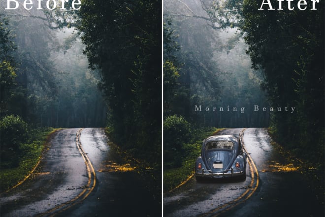 I will do professional photoshop editing and lightroom editing