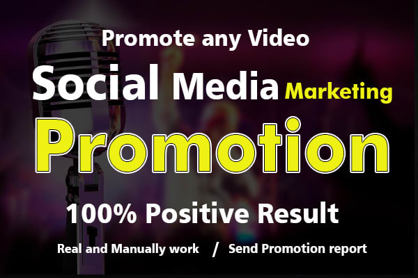 I will do real and manually promotion for you
