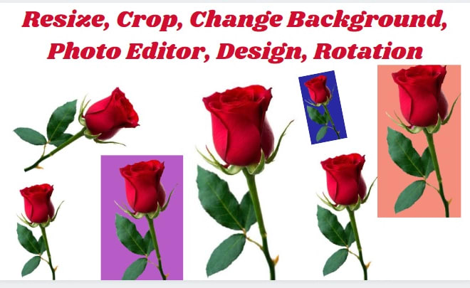 I will do resize, crop, change background, photo editor, design, rotation