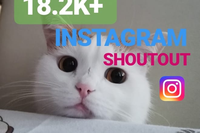 I will do shoutout on my 18k cat instagram quick delivery