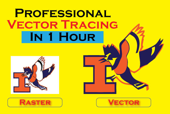 I will do vector tracing, convert raster to vector, redraw images
