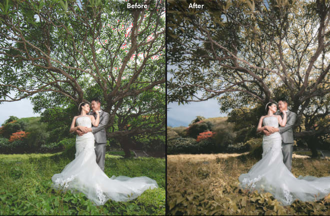 I will do wedding photo editing on photoshop lightroom