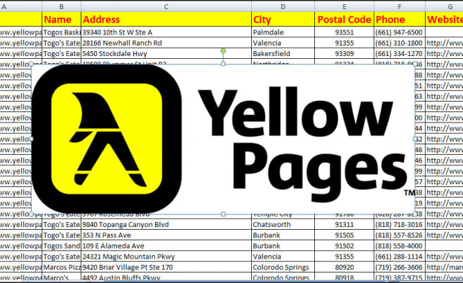I will do yellow page website scraping and collect leads in 1 day