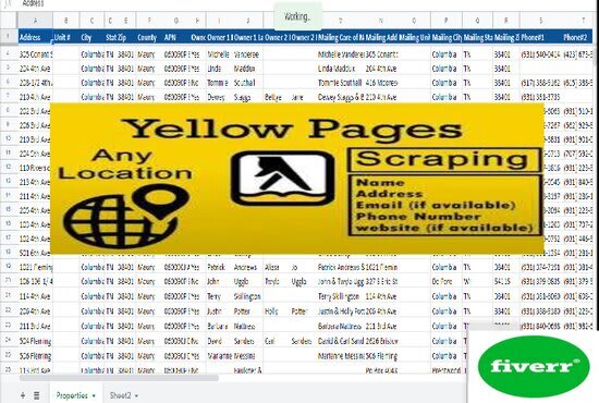 I will do yellow pages data scraping for uk, usa, australia,germany,finland,brazil etc