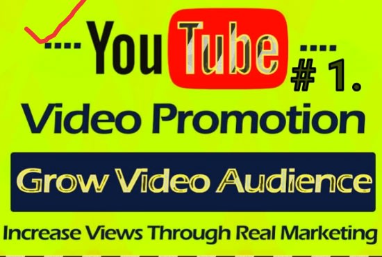 I will do youtube promotion and digital viral video marketing