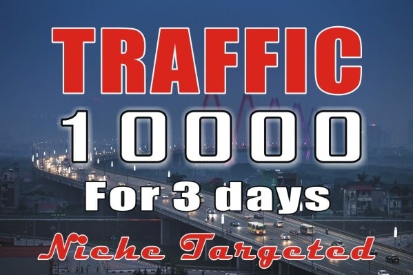 I will drive 30 days website traffic, real targeted visitors