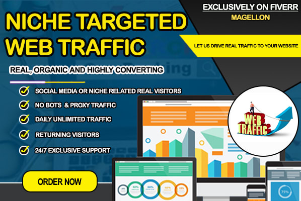 I will drive niche geo targeted organic web, blog traffic