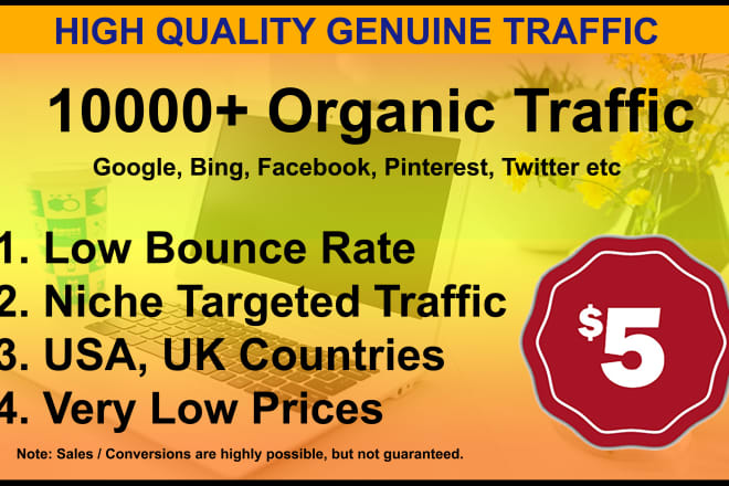 I will drive unlimited genuine web traffic for 30 days