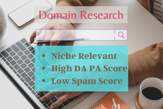 I will find niche relevant expired domain research with high da and pa