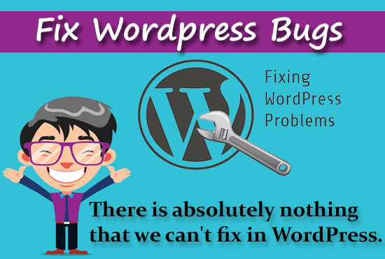 I will fix wordpress bugs, errors, problems and solve issue in 12hr