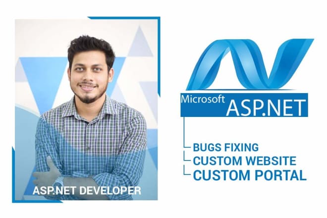 I will fixes asp dot net web application bugs