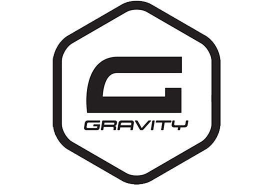 I will gravity forms, multi step forms, logical wordpress forms,