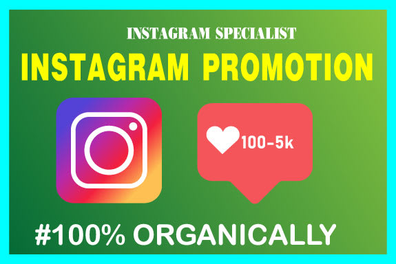 I will grow instagram promotion fast