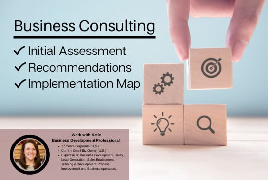 I will help build a roadmap for your business development