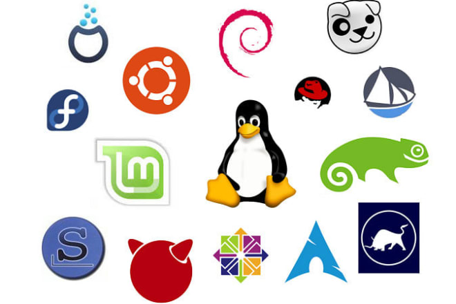 I will install, configure and troubleshoot any service in your linux machine