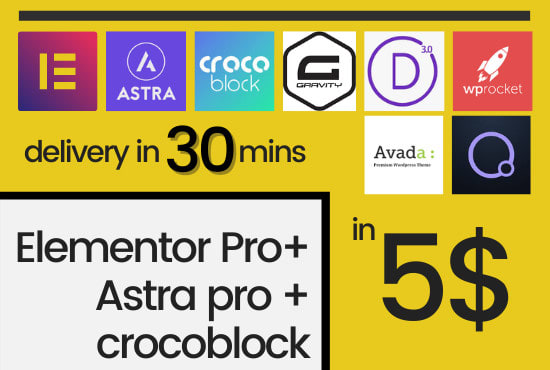 I will install elementor pro, astra pro, crocoblock and all plugins you need