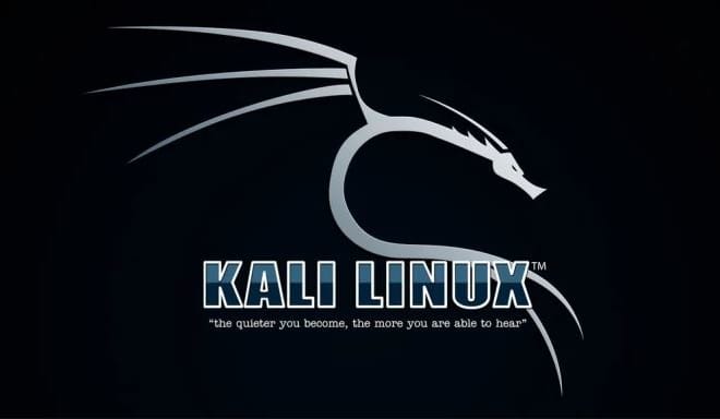 I will install kali linux on your windows pc