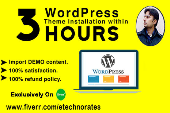 I will install wordpress theme setup demo and do customization