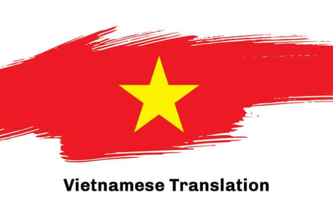 I will manually translate vietnamese to english and vice versa