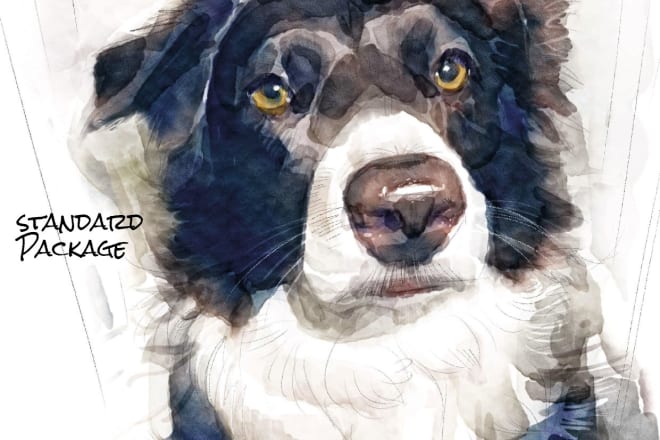 I will paint your pet portraits in real watercolor