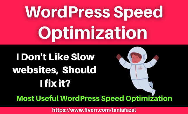 I will perfect speed optimization for your wordpress website