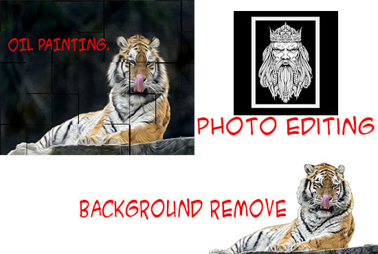 I will photo editing background remove oil painting photo filter