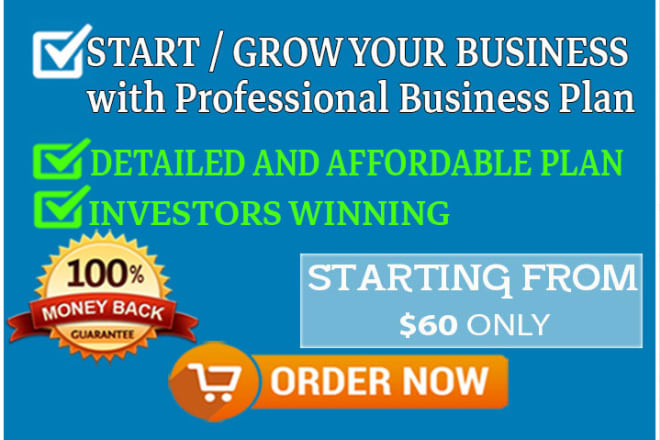 I will prepare investor ready business plans and forecasts