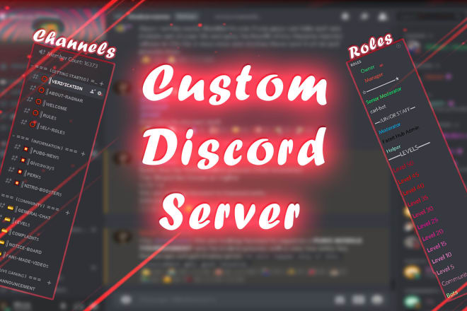 I will professionally setup a discord server within 24 hours
