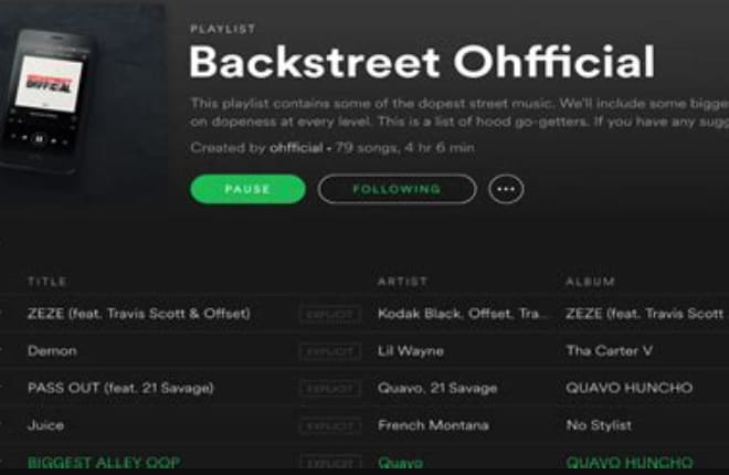 I will promote your music via top playlist placement
