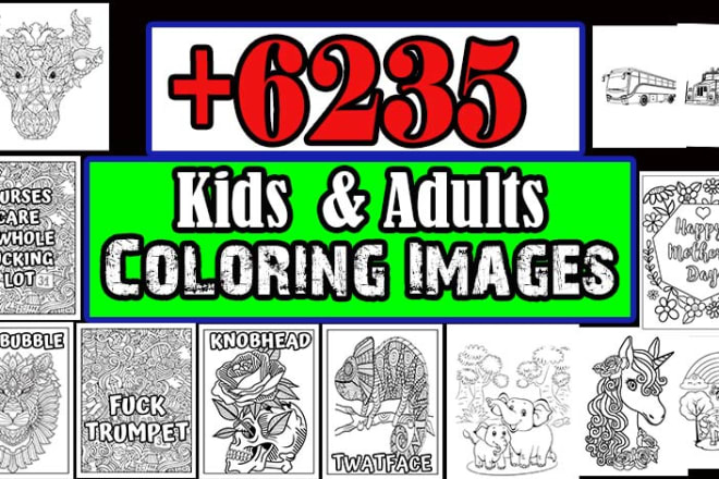 I will provide 6235 kids and adults coloring images jpeg png format sell on KDP