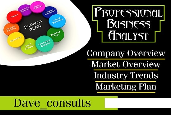 I will provide a professional business plan for you