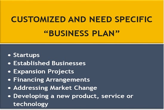I will provide need specific business plan