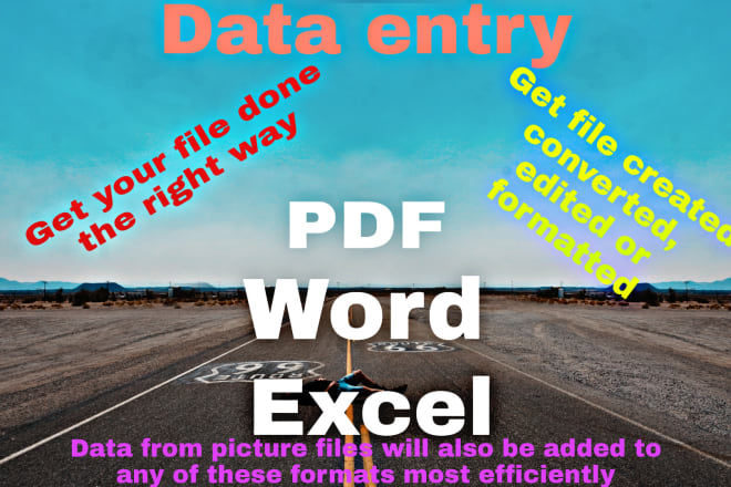 I will provide offline online data entry image pdf to word excel