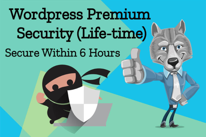 I will secure your website within 6 hours