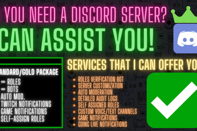 I will set up a professional discord server