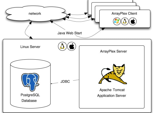 I will setup linux vps server for domain, nginx, tomcat, SSL,http to https, web hosting