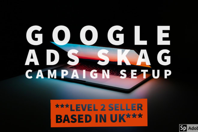 I will setup skag google ads campaigns
