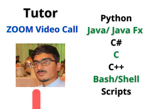 I will teach bash, docker, python, c, cpp, csharp, java as a tutor