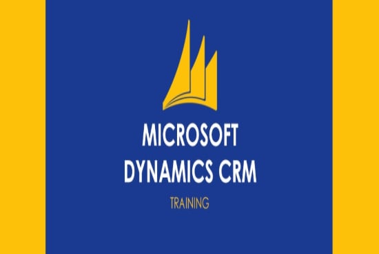 I will train you in dynamics CRM technical and non technical way