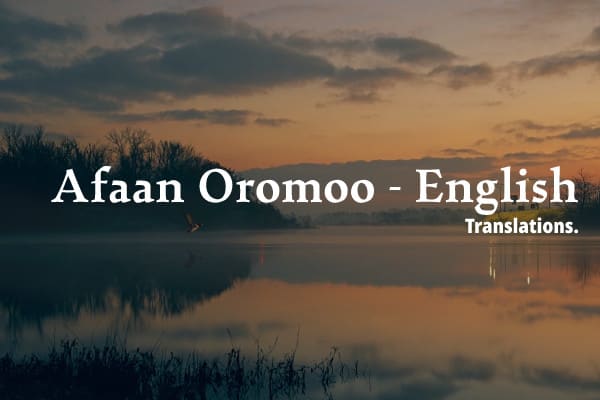 I will translate afaan oromo to english and vice versa