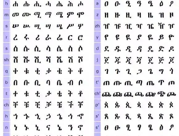 I will translate amharic and tigrinya, oromo to english